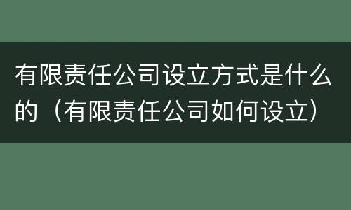有限责任公司设立方式是什么的（有限责任公司如何设立）