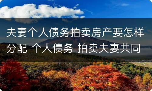 夫妻个人债务拍卖房产要怎样分配 个人债务 拍卖夫妻共同财产