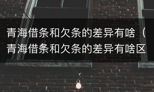 青海借条和欠条的差异有啥（青海借条和欠条的差异有啥区别）