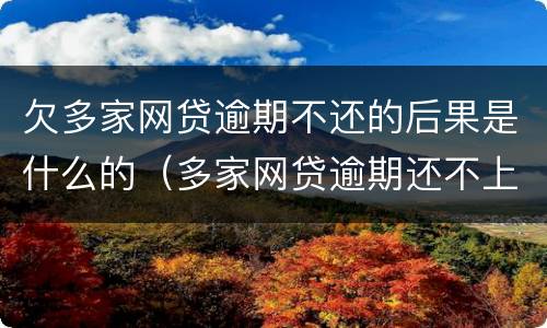 欠多家网贷逾期不还的后果是什么的（多家网贷逾期还不上怎么办）
