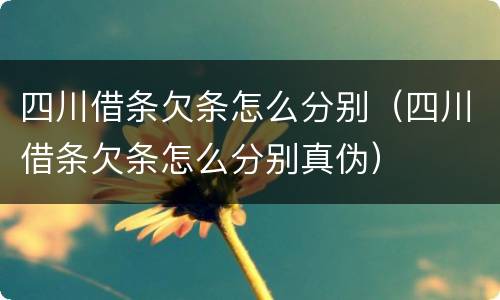 四川借条欠条怎么分别（四川借条欠条怎么分别真伪）
