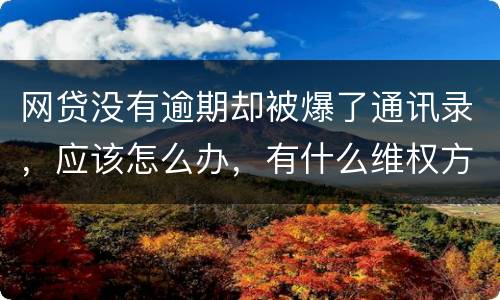网贷没有逾期却被爆了通讯录，应该怎么办，有什么维权方法吗
