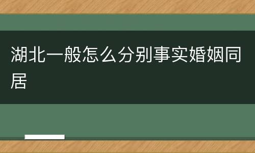 湖北一般怎么分别事实婚姻同居