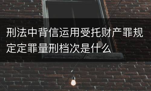 刑法中背信运用受托财产罪规定定罪量刑档次是什么