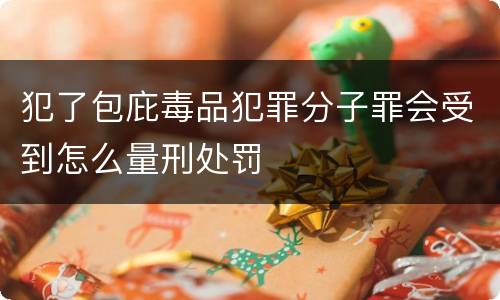 犯了包庇毒品犯罪分子罪会受到怎么量刑处罚