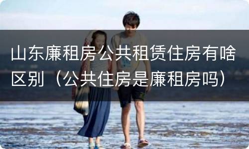 山东廉租房公共租赁住房有啥区别（公共住房是廉租房吗）