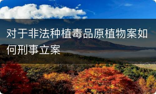 对于非法种植毒品原植物案如何刑事立案