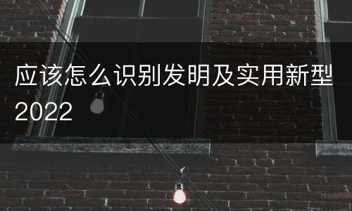 应该怎么识别发明及实用新型2022