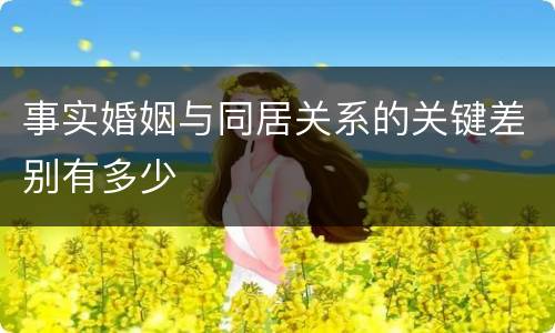 事实婚姻与同居关系的关键差别有多少