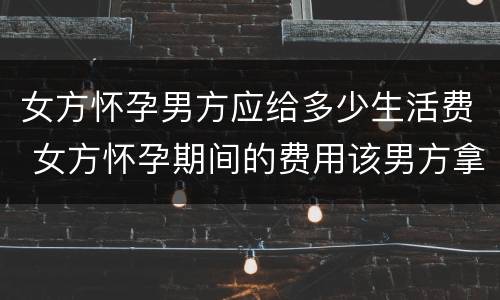 女方怀孕男方应给多少生活费 女方怀孕期间的费用该男方拿吗?