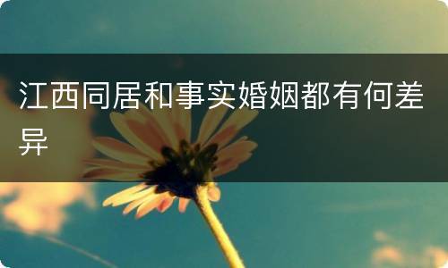 江西同居和事实婚姻都有何差异