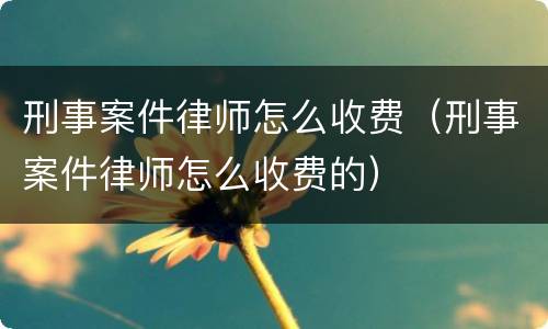 刑事案件律师怎么收费（刑事案件律师怎么收费的）