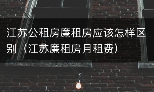 江苏公租房廉租房应该怎样区别（江苏廉租房月租费）