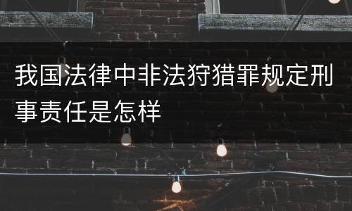 我国法律中非法狩猎罪规定刑事责任是怎样