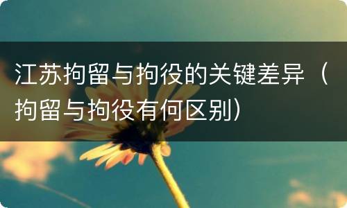 江苏拘留与拘役的关键差异（拘留与拘役有何区别）