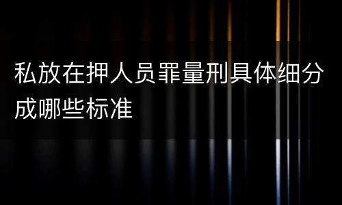 私放在押人员罪量刑具体细分成哪些标准