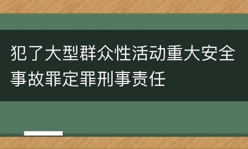 犯了大型群众性活动重大安全事故罪定罪刑事责任