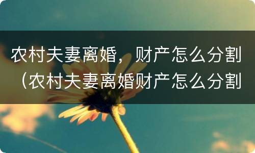 农村夫妻离婚，财产怎么分割（农村夫妻离婚财产怎么分割?）