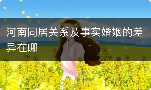 河南同居关系及事实婚姻的差异在哪