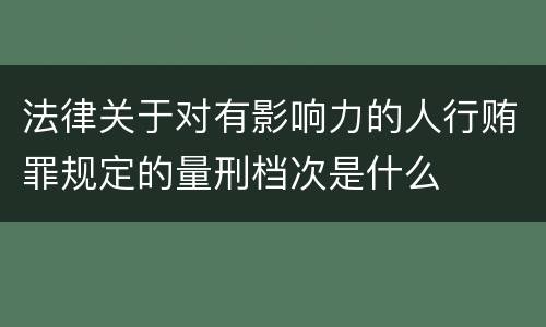 法律关于对有影响力的人行贿罪规定的量刑档次是什么