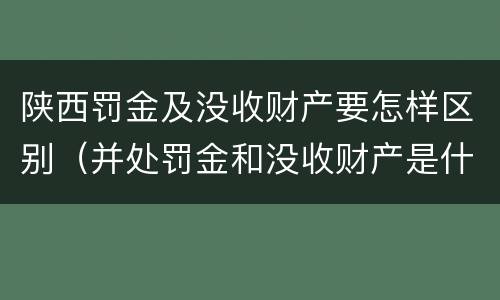 陕西罚金及没收财产要怎样区别（并处罚金和没收财产是什么意思）
