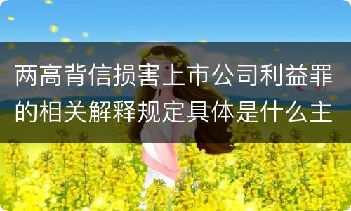 两高背信损害上市公司利益罪的相关解释规定具体是什么主要内容