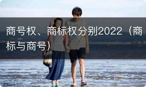 商号权、商标权分别2022（商标与商号）