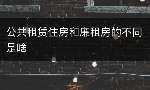 公共租赁住房和廉租房的不同是啥