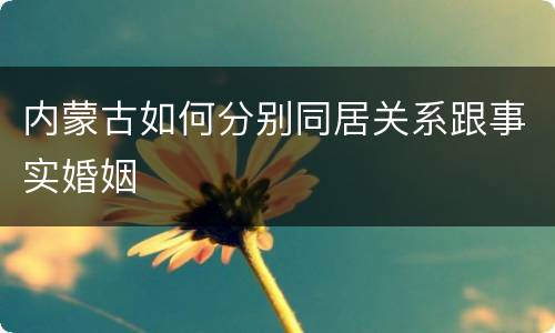 内蒙古如何分别同居关系跟事实婚姻