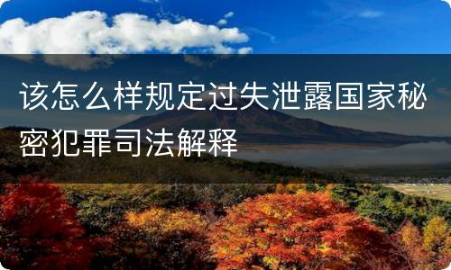 该怎么样规定过失泄露国家秘密犯罪司法解释
