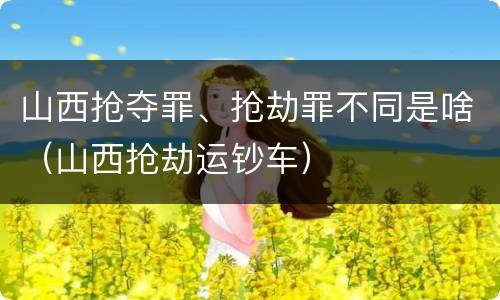 山西抢夺罪、抢劫罪不同是啥（山西抢劫运钞车）