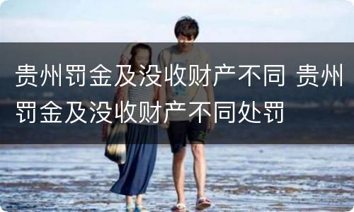贵州罚金及没收财产不同 贵州罚金及没收财产不同处罚