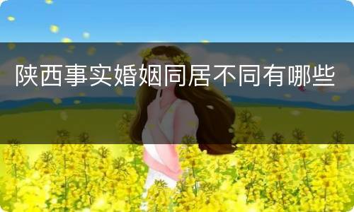 陕西事实婚姻同居不同有哪些