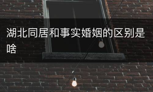 湖北同居和事实婚姻的区别是啥