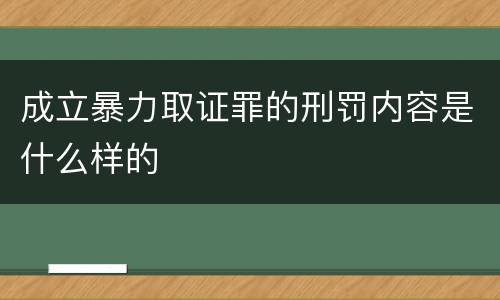 成立暴力取证罪的刑罚内容是什么样的