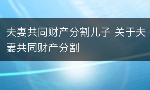 夫妻共同财产分割儿子 关于夫妻共同财产分割