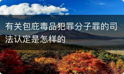 有关包庇毒品犯罪分子罪的司法认定是怎样的