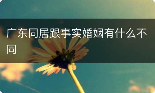 广东同居跟事实婚姻有什么不同