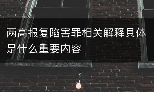 两高报复陷害罪相关解释具体是什么重要内容