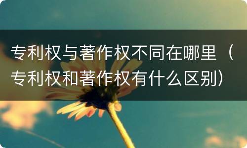 专利权与著作权不同在哪里（专利权和著作权有什么区别）