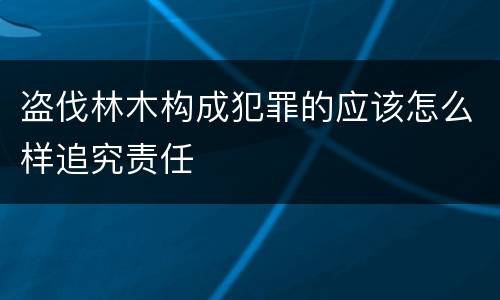 盗伐林木构成犯罪的应该怎么样追究责任