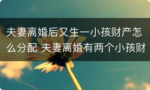 夫妻离婚后又生一小孩财产怎么分配 夫妻离婚有两个小孩财产是怎么分配
