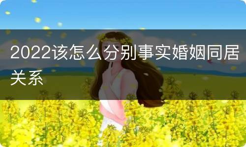 2022该怎么分别事实婚姻同居关系