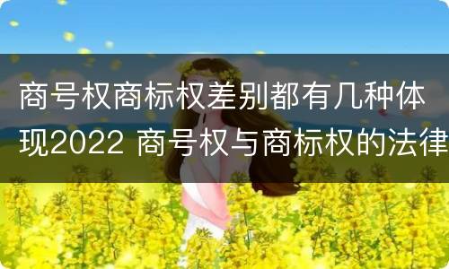 商号权商标权差别都有几种体现2022 商号权与商标权的法律冲突与解决