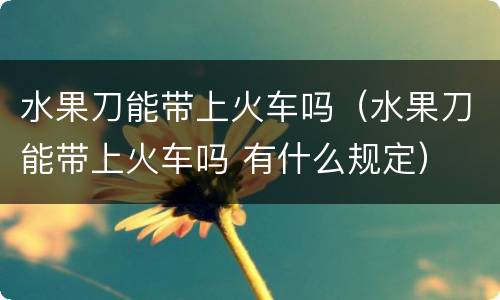 水果刀能带上火车吗（水果刀能带上火车吗 有什么规定）
