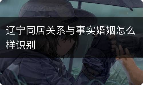 辽宁同居关系与事实婚姻怎么样识别