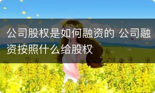 公司股权是如何融资的 公司融资按照什么给股权