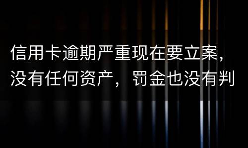 信用卡逾期严重现在要立案，没有任何资产，罚金也没有判刑出来后怎么处理