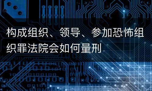 构成组织、领导、参加恐怖组织罪法院会如何量刑
