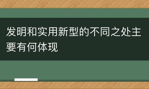 发明和实用新型的不同之处主要有何体现